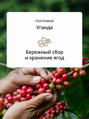 изображение Кофе в зернах DeLonghi BIANCO CREMA, 800гр 